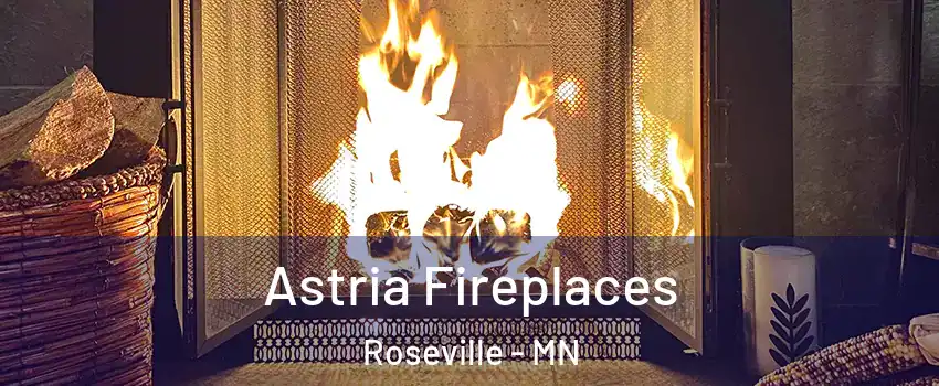  Astria Fireplaces Roseville - MN