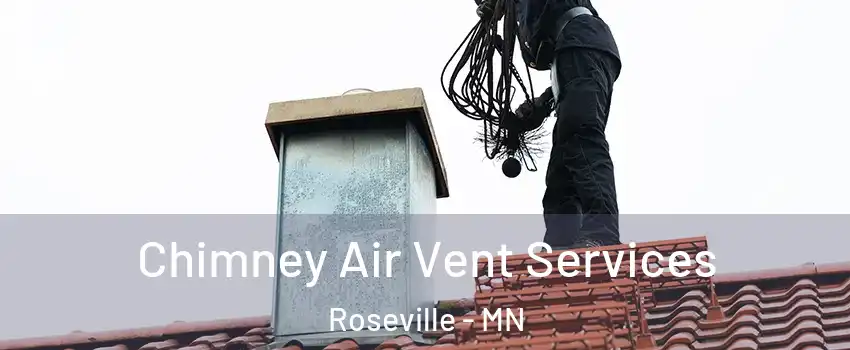  Chimney Air Vent Services Roseville - MN