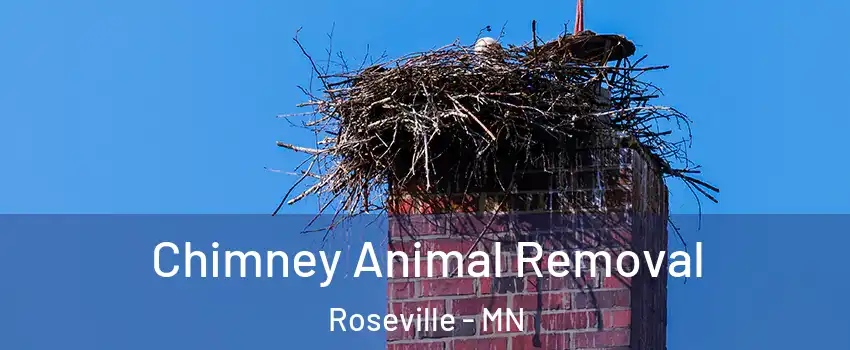 Chimney Animal Removal Roseville - MN