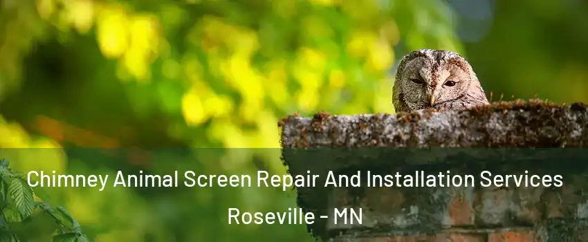  Chimney Animal Screen Repair And Installation Services Roseville - MN