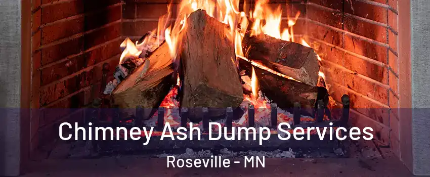  Chimney Ash Dump Services Roseville - MN