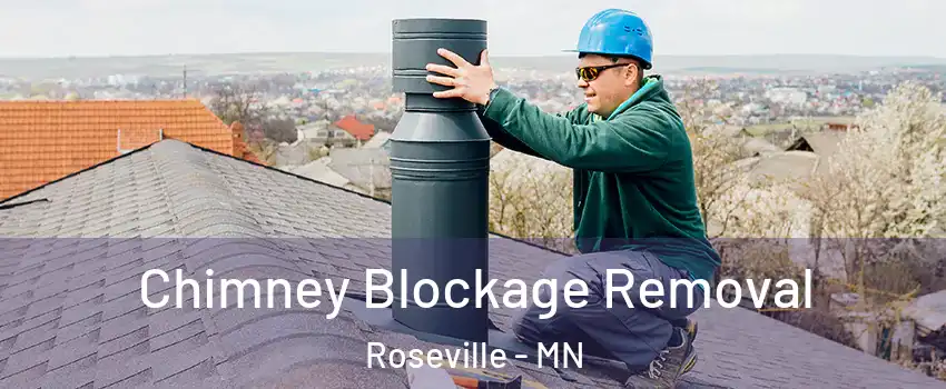  Chimney Blockage Removal Roseville - MN