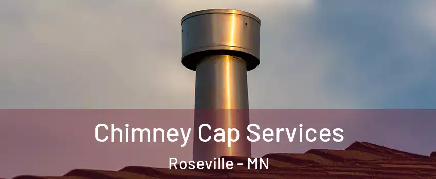  Chimney Cap Services Roseville - MN