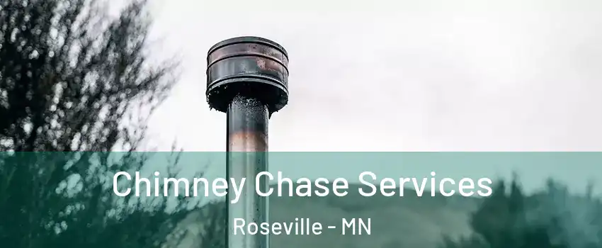  Chimney Chase Services Roseville - MN