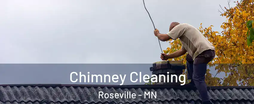  Chimney Cleaning Roseville - MN
