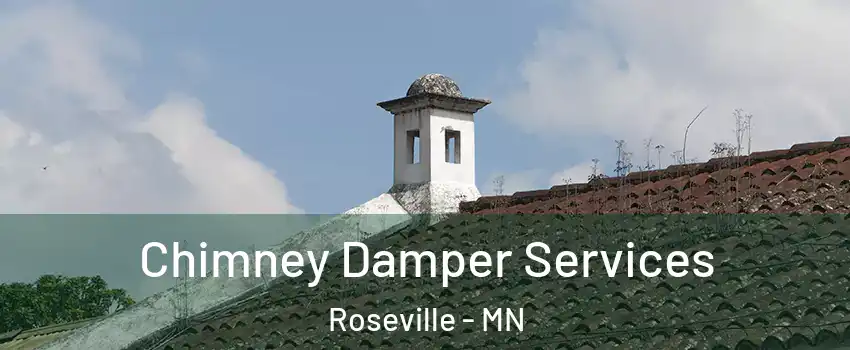  Chimney Damper Services Roseville - MN
