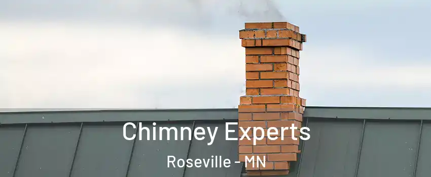 Chimney Experts Roseville - MN