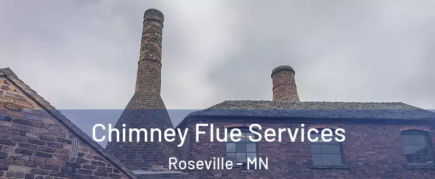  Chimney Flue Services Roseville - MN