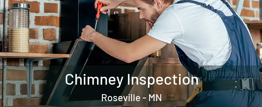  Chimney Inspection Roseville - MN