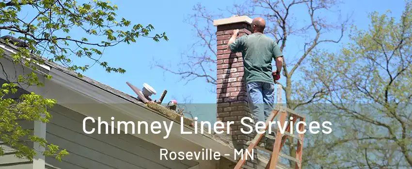  Chimney Liner Services Roseville - MN