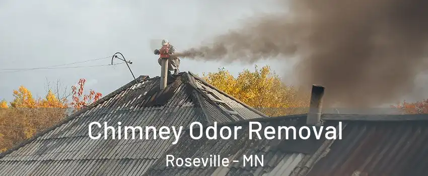  Chimney Odor Removal Roseville - MN