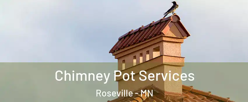  Chimney Pot Services Roseville - MN