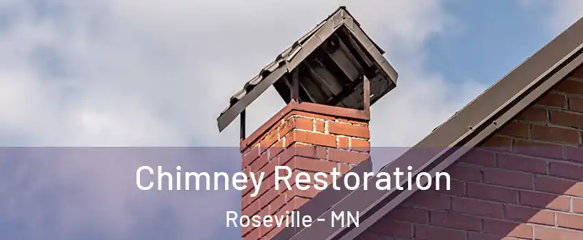 Chimney Restoration Roseville - MN