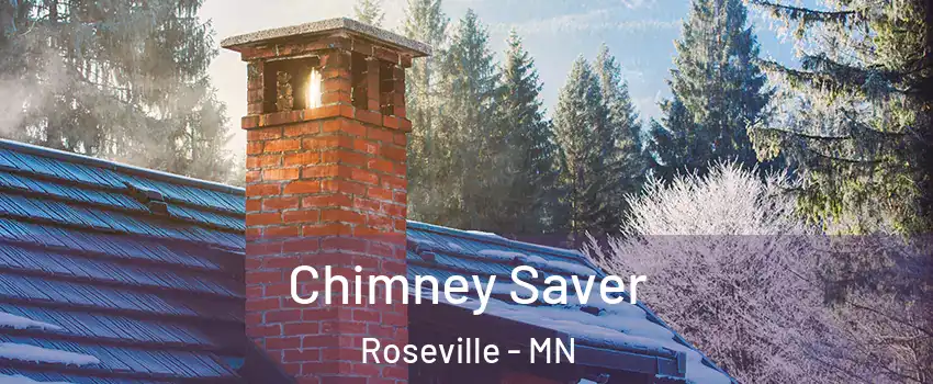  Chimney Saver Roseville - MN