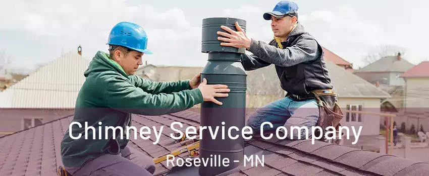  Chimney Service Company Roseville - MN