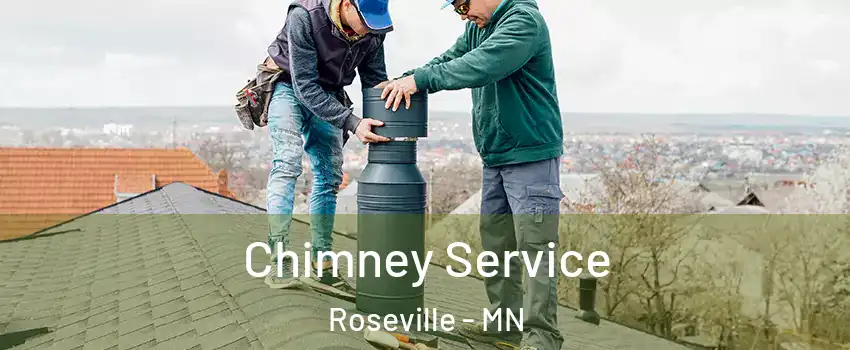  Chimney Service Roseville - MN