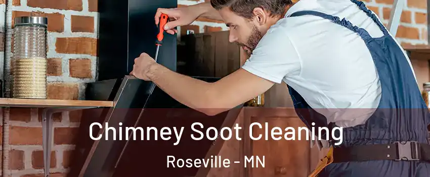  Chimney Soot Cleaning Roseville - MN