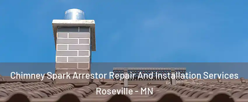  Chimney Spark Arrestor Repair And Installation Services Roseville - MN