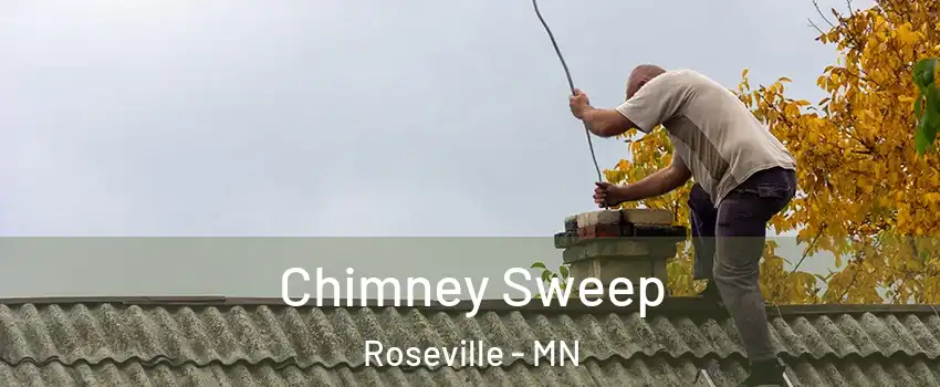  Chimney Sweep Roseville - MN