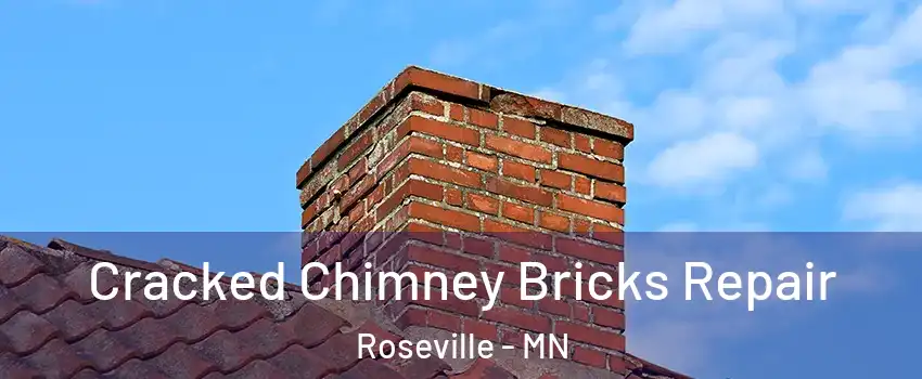  Cracked Chimney Bricks Repair Roseville - MN
