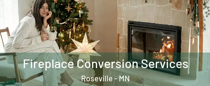 Fireplace Conversion Services Roseville - MN