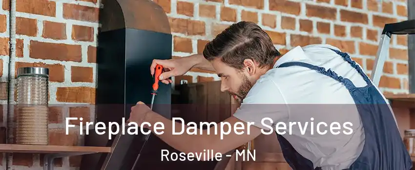  Fireplace Damper Services Roseville - MN
