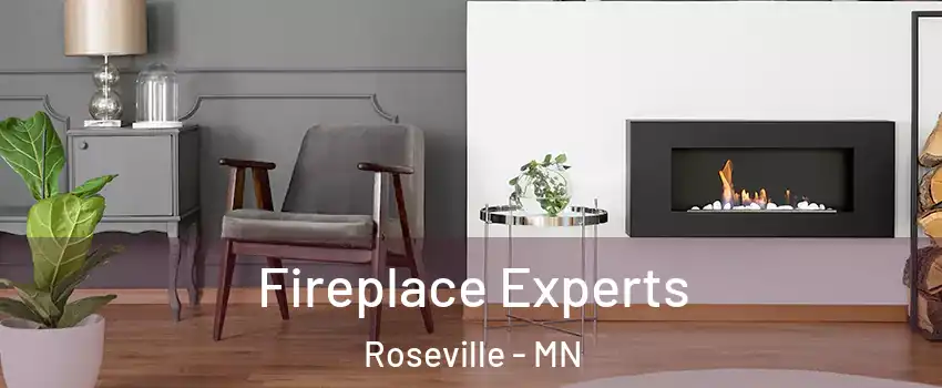  Fireplace Experts Roseville - MN