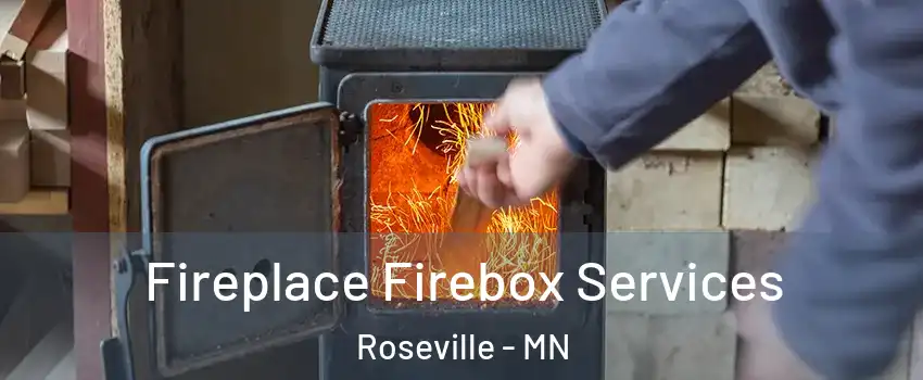  Fireplace Firebox Services Roseville - MN