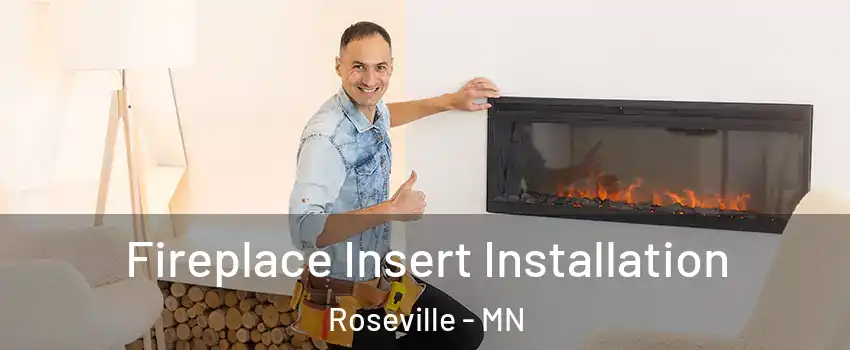  Fireplace Insert Installation Roseville - MN