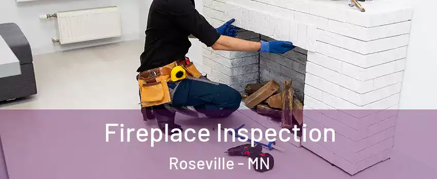  Fireplace Inspection Roseville - MN