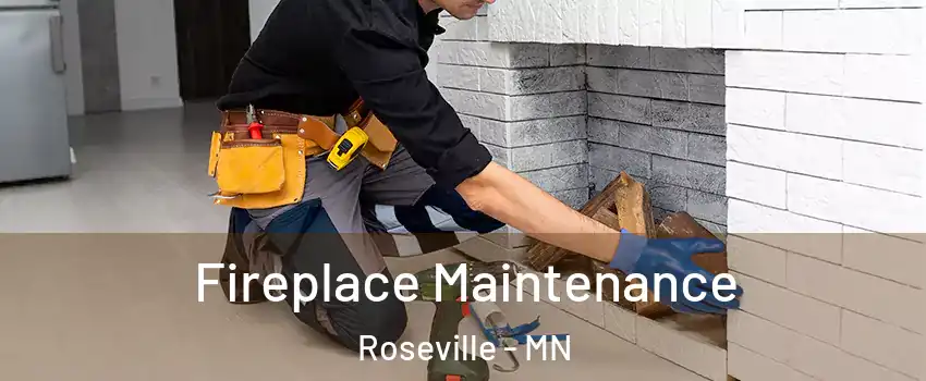  Fireplace Maintenance Roseville - MN