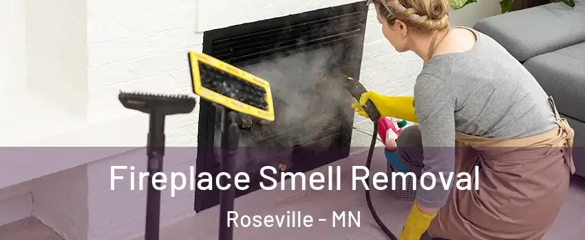  Fireplace Smell Removal Roseville - MN