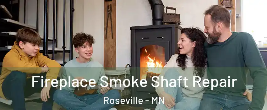  Fireplace Smoke Shaft Repair Roseville - MN