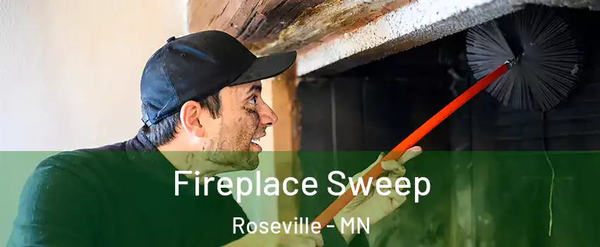  Fireplace Sweep Roseville - MN