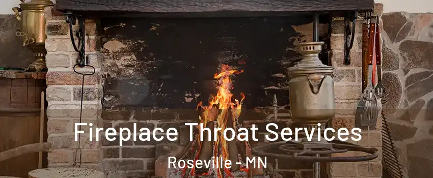  Fireplace Throat Services Roseville - MN