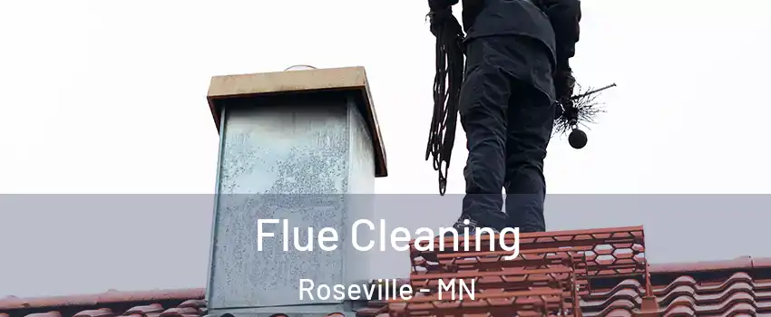  Flue Cleaning Roseville - MN