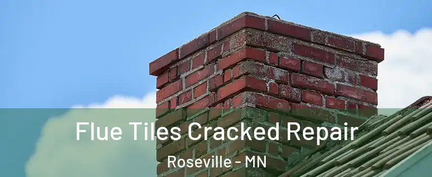  Flue Tiles Cracked Repair Roseville - MN