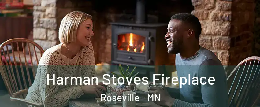  Harman Stoves Fireplace Roseville - MN