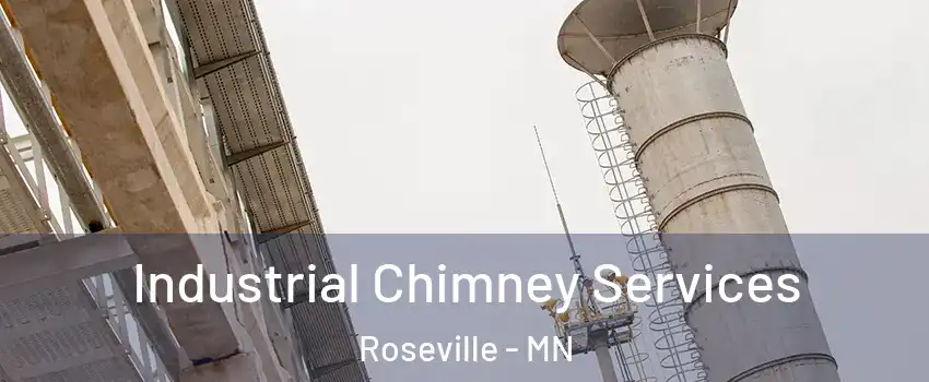  Industrial Chimney Services Roseville - MN