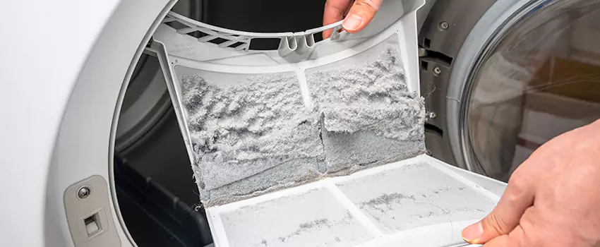 Best Dryer Lint Removal Company in Roseville, Minnesota
