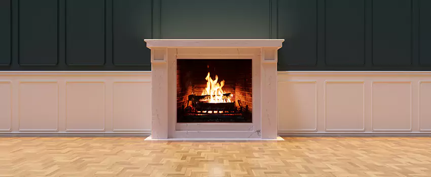 Napoleon Electric Fireplaces Inspection Service in Roseville, Minnesota
