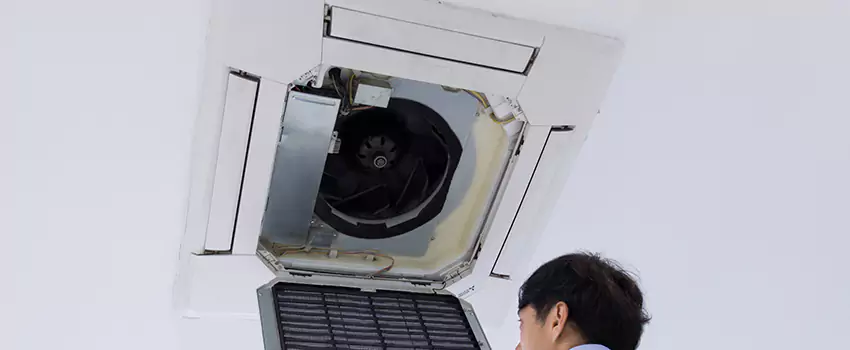 Benefits of Professional Air Duct Cleaning in Roseville, Minnesota