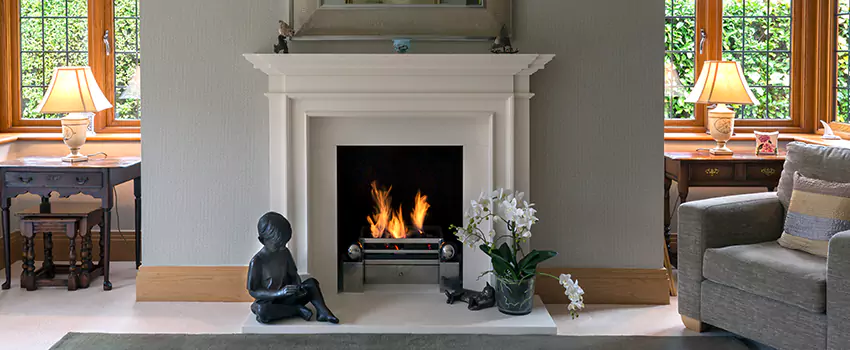 Astria Open-Hearth Wood Fireplaces Services in Roseville, MN