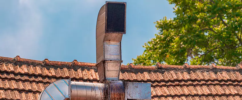 Chimney Blockage Removal in Roseville, Minnesota