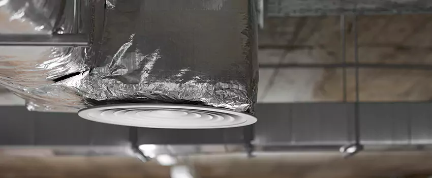 Signs of Dust Accumulation in Vents in Roseville, MN