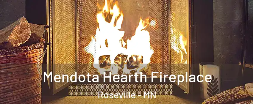  Mendota Hearth Fireplace Roseville - MN