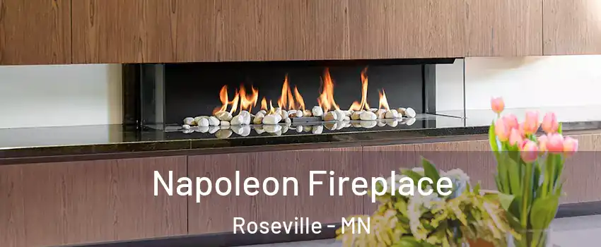  Napoleon Fireplace Roseville - MN