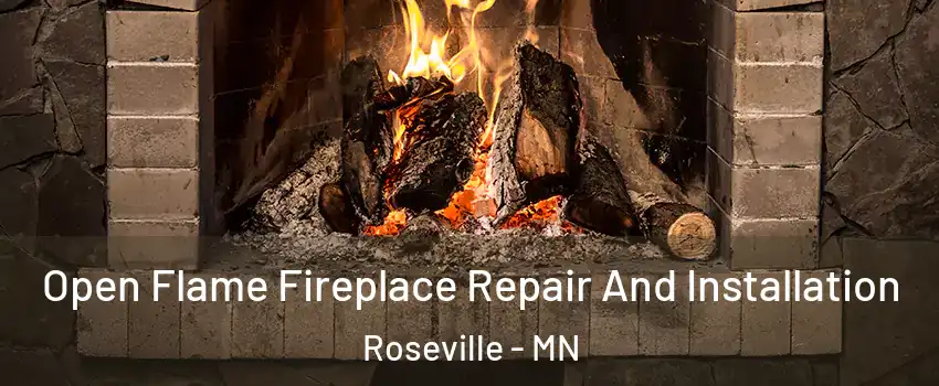  Open Flame Fireplace Repair And Installation Roseville - MN