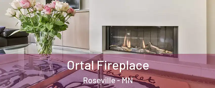  Ortal Fireplace Roseville - MN