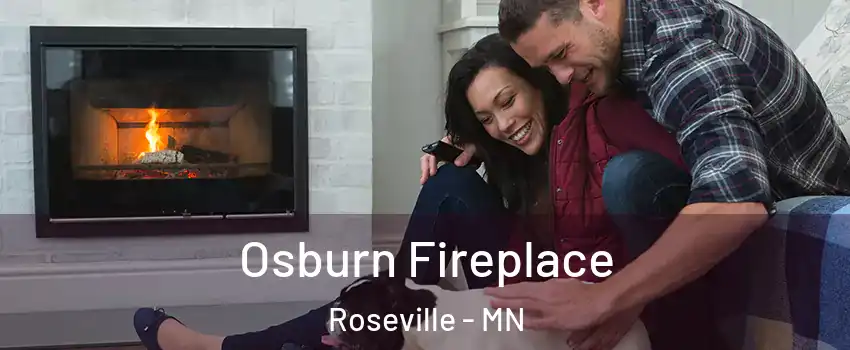  Osburn Fireplace Roseville - MN